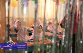 گزارش تصویری | جشن شکوفه ها