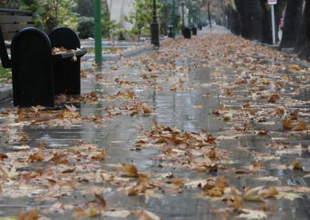 پاییز هم خبری از باران نیست