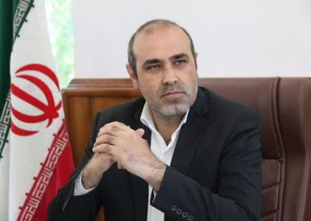 حمایت مالی از ۲۲۴ طرح اقتصادی در استان فارس