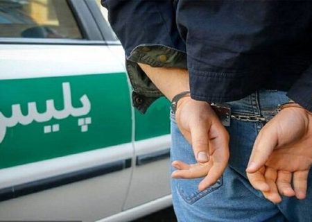 فیلم | لحظه دستگیری سارق خشن اتوبان صدر ویدئو