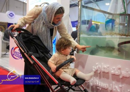 گزارش تصویری | حضور پرشور شرکت های صادراتی در اکسپو 2025 شیراز