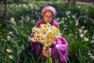 ثبت رسمی رویداد فرهنگی «گل غلتان نوزاد» روستای کراده خفر