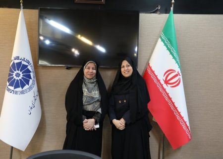 اجرای طرح “زنان کارآفرین مسئول” در فارس