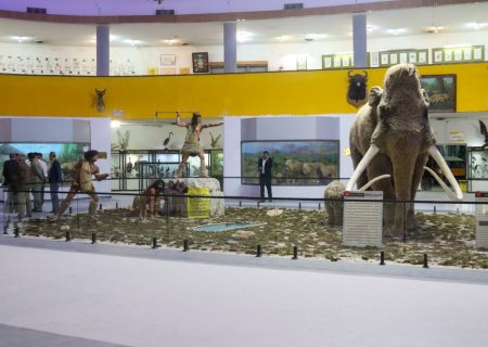 غنی‌ترشدن گنجینه زمین‌شناسی موزه تاریخ‌ طبیعی دانشگاه شیراز