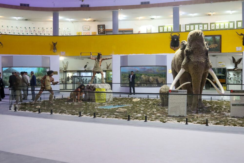 غنیترشدن گنجینه زمینشناسی موزه تاریخ طبیعی دانشگاه شیراز