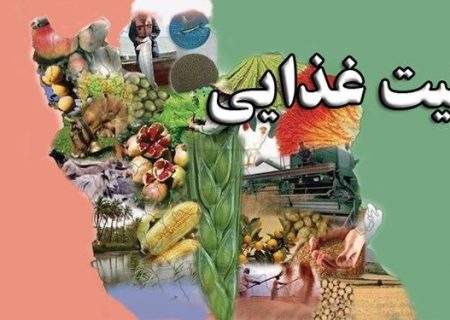 برگزاری جلسه سند ملی امنیت غذایی،تغذیه و ایمنی غذا در اداره کل استاندارد فارس