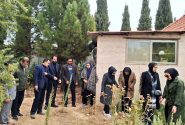 «در سایه مادر»؛ سالمندان فرزانگان شیراز همصدای سراسر کشور نهال امید کاشتند
