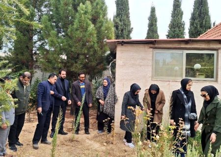 «در سایه مادر»؛ سالمندان فرزانگان شیراز همصدای سراسر کشور نهال امید کاشتند