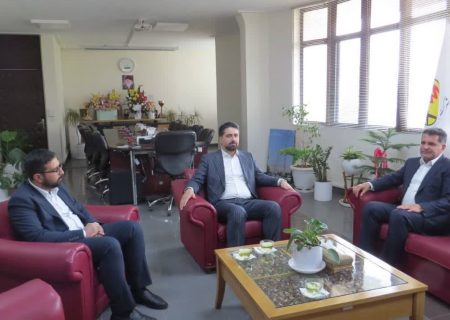 تقویت پایداری برق صنایع شرق فارس