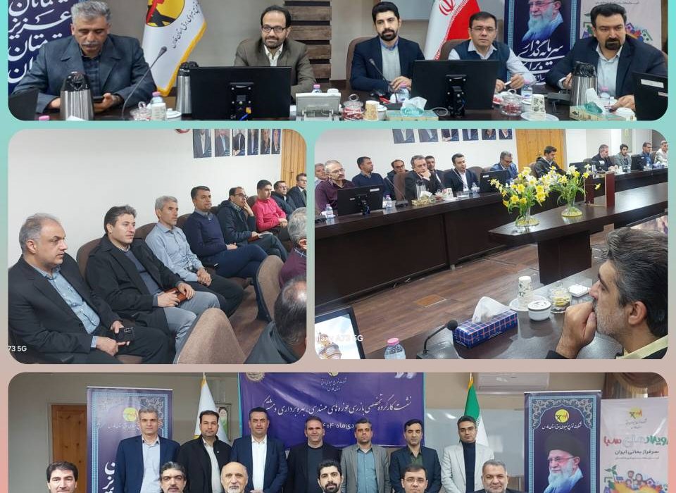 نشست کارگروه تخصصی بازرسی حوزه های مهندسی، بهره برداری و مشترکین شرکت های توزیع برق