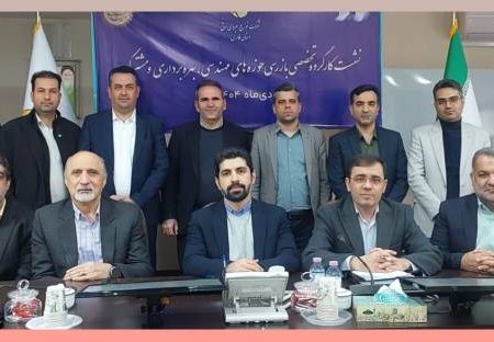 نشست کارگروه تخصصی بازرسی حوزه های مهندسی، بهره برداری و مشترکین شرکت های توزیع برق