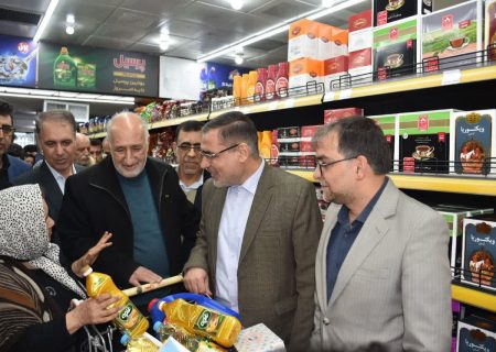 بازدید مسئولان استان از وضعیت عرضه کالاهای اساسی در شیراز