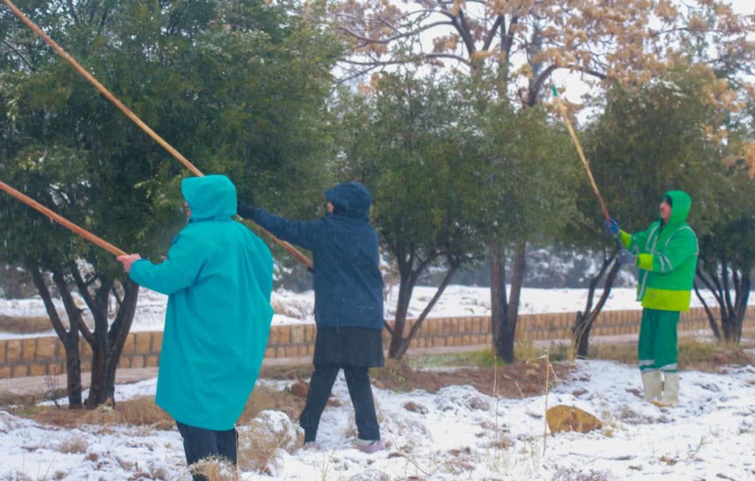 در میانه بارندگی و برف؛ شهرداری شیراز در آماده‌باش کامل برای مدیریت بحران