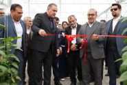 افتتاح طرح گلخانه‌ایی در پاسارگاد با حمایت صندوق کارآفرینی امید