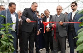 افتتاح طرح گلخانه‌ایی در پاسارگاد با حمایت صندوق کارآفرینی امید