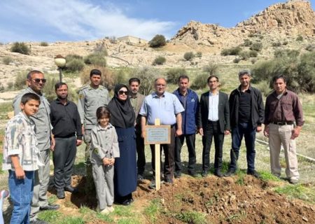 کاشت نهال استقامت در بمو