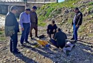 رفع قطعی ارتباطات جنوب استان فارس در کوتاه‌ترین زمان