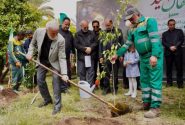 شیراز در مسیر گسترش کمربند سبز شهری با کاشت ۷۰۰ هزار نهال