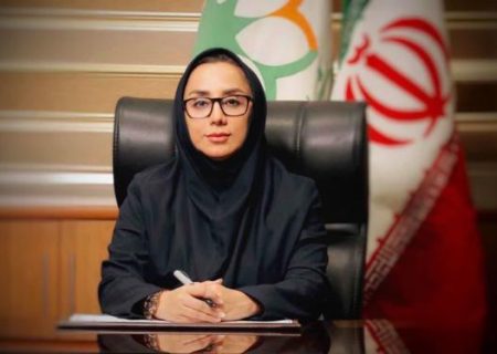 محورهای منطقه یک شیراز صاحب مبلمان جدید شهری شد