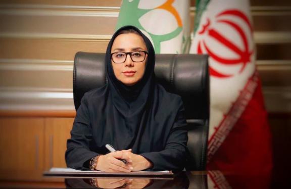 محورهای منطقه یک شیراز صاحب مبلمان جدید شهری شد