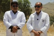 آبیاری ۱۰۰۰ هکتار درختکاری زیتون با پساب