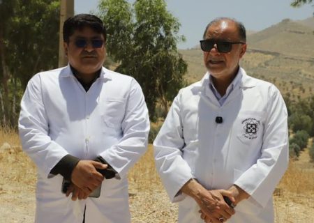 آبیاری ۱۰۰۰ هکتار درختکاری زیتون با پساب