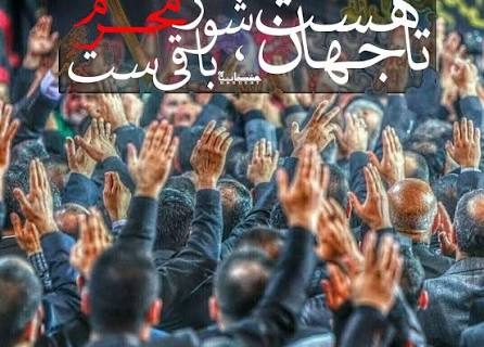 فیلم | شور محرم در شهرک مهر امام رضا(ع)