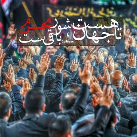فیلم | شور محرم در شهرک مهر امام رضا(ع)