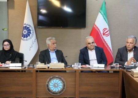 فرآینده های معدنی باید به نفع فعالان واقعی و متخصص اصلاح شود